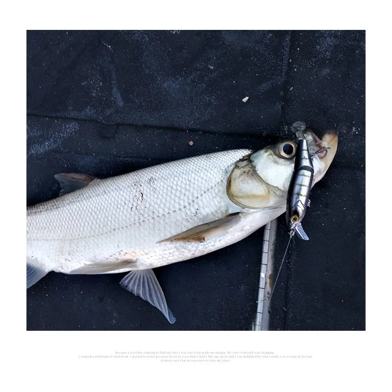 Appât Flottant Minnow Artificiel Multi-Segment 17,5 g — photo 2