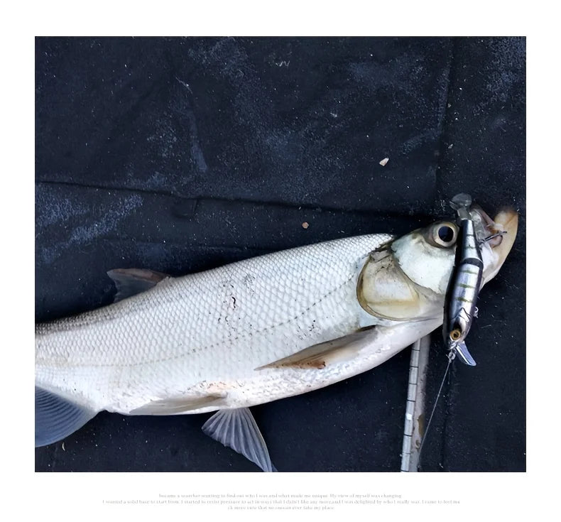Appât Flottant Minnow Artificiel Multi-Segment 17,5 g — photo 13