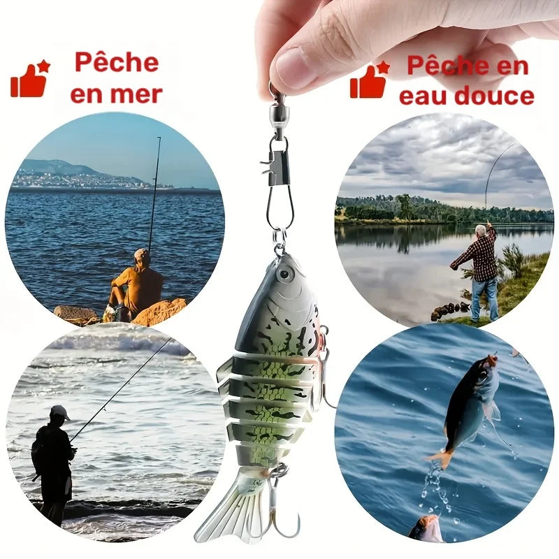 Émerillons de Pêche en Fer Noir — photo 6