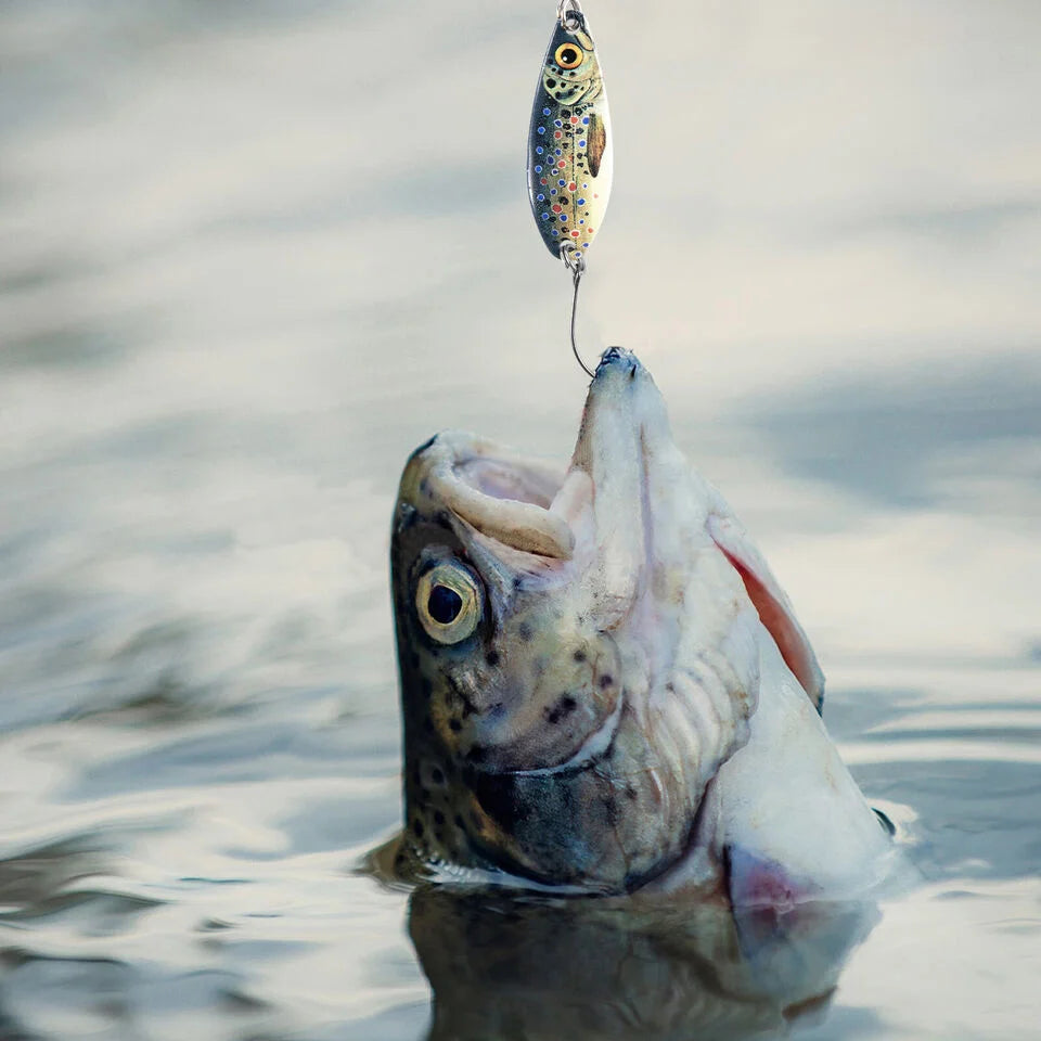 Leurre De Pêche Spinner En Métal 5 G — photo 5