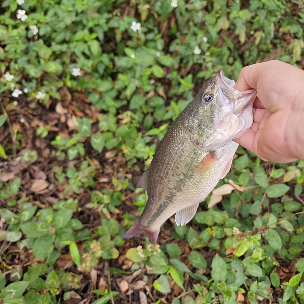 Leurre Minnow Coulant Multi-Segments 13,5 Cm — photo 5