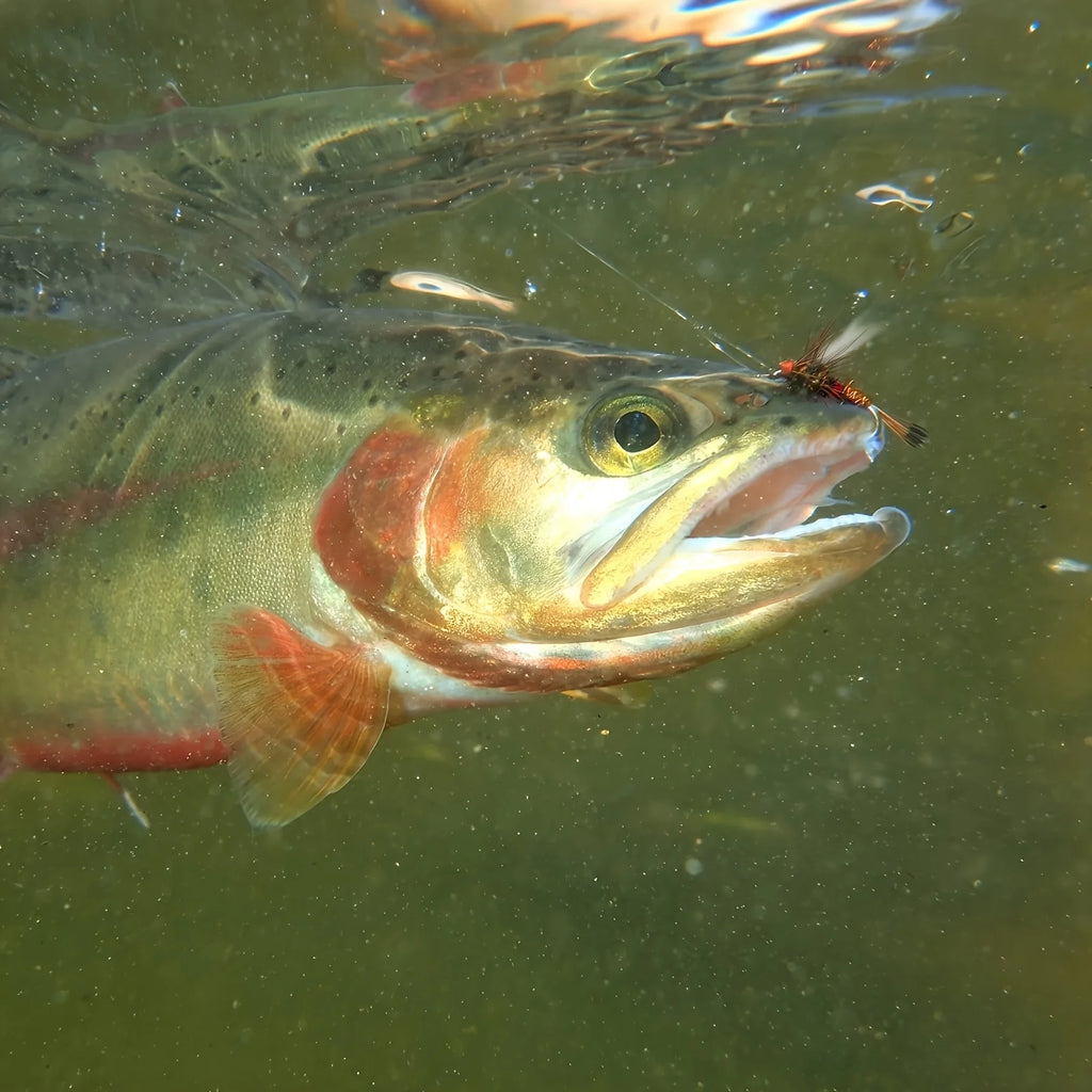 Lot De 30 Mouches De Pêche Multicolores — photo 8