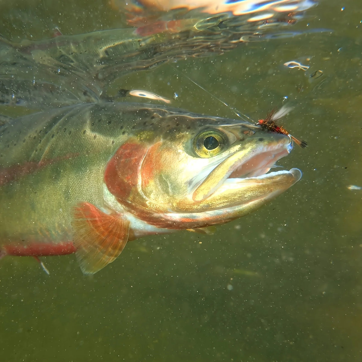 Lot De 30 Mouches De Pêche Multicolores — photo 8
