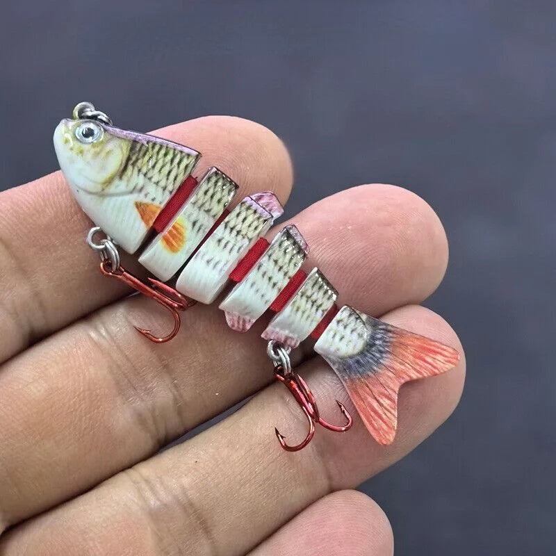 Lot De 5 Leurres De Pêche Miniatures Articulés — illustration 1 Image